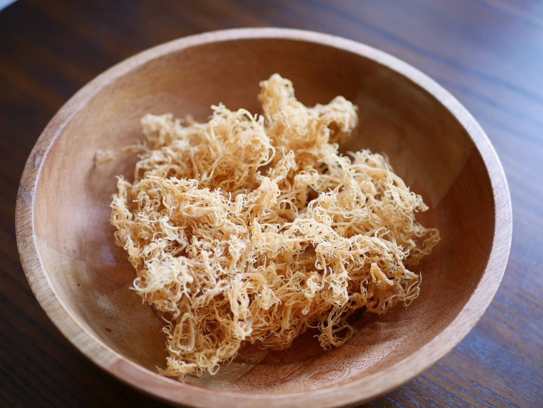 Discovering the Mighty Benefits of St. Lucia Sea Moss: A Nutritional Gem