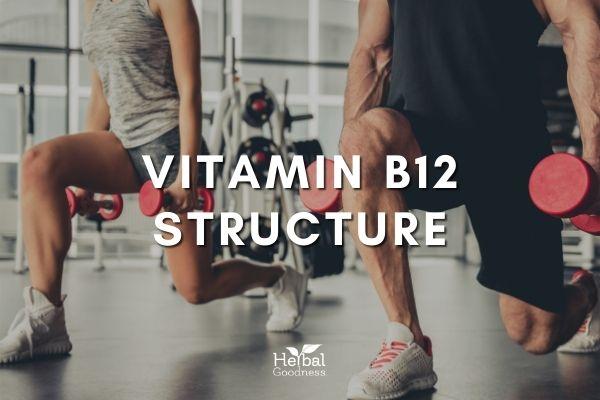Vitamin B12 Structure | Herbal Goodness
