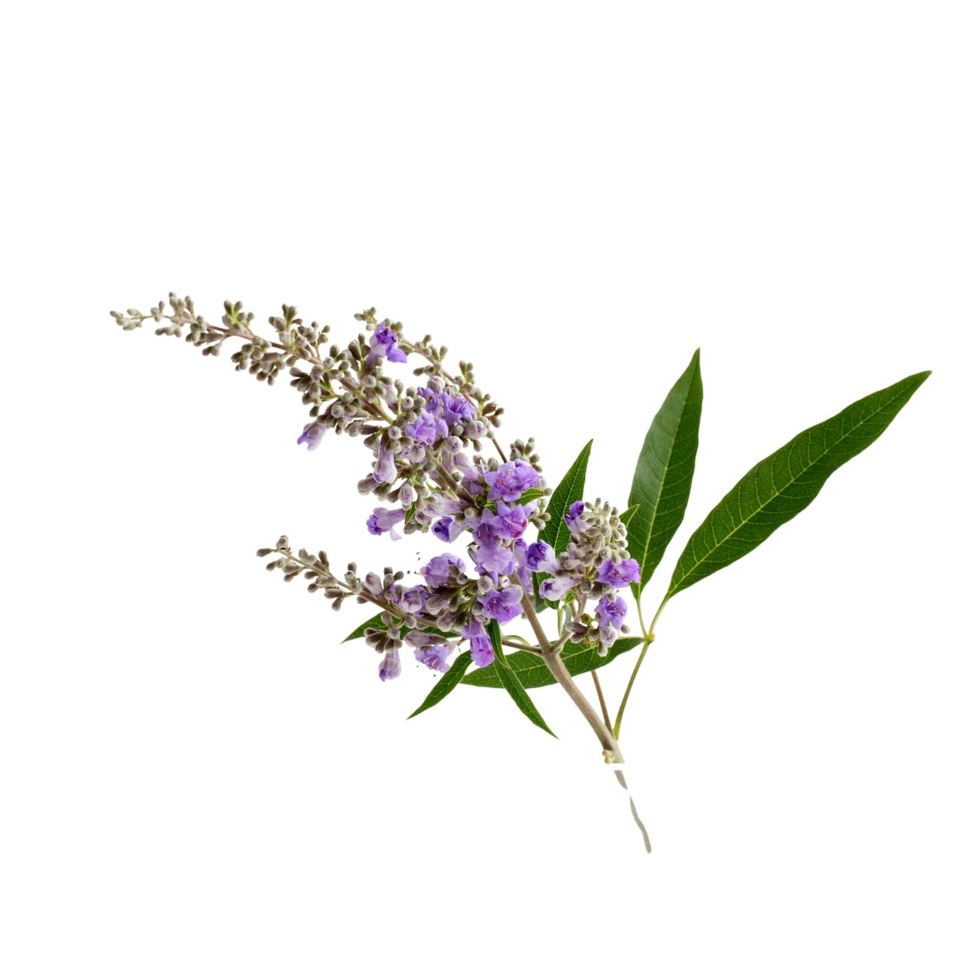 Bulk Premium Herbs - Herbal Goodness