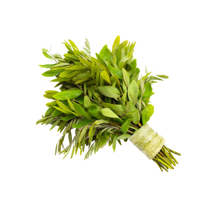 Bulk Premium Herbs - Herbal Goodness