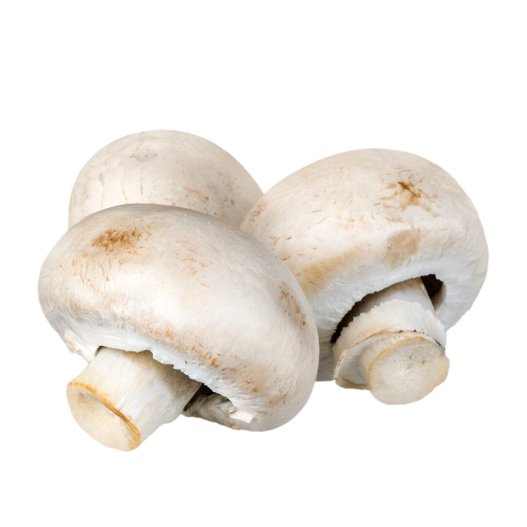Bulk Spices & Powders Bulk Herb Herbal Goodness Chasa mushroom 8oz 