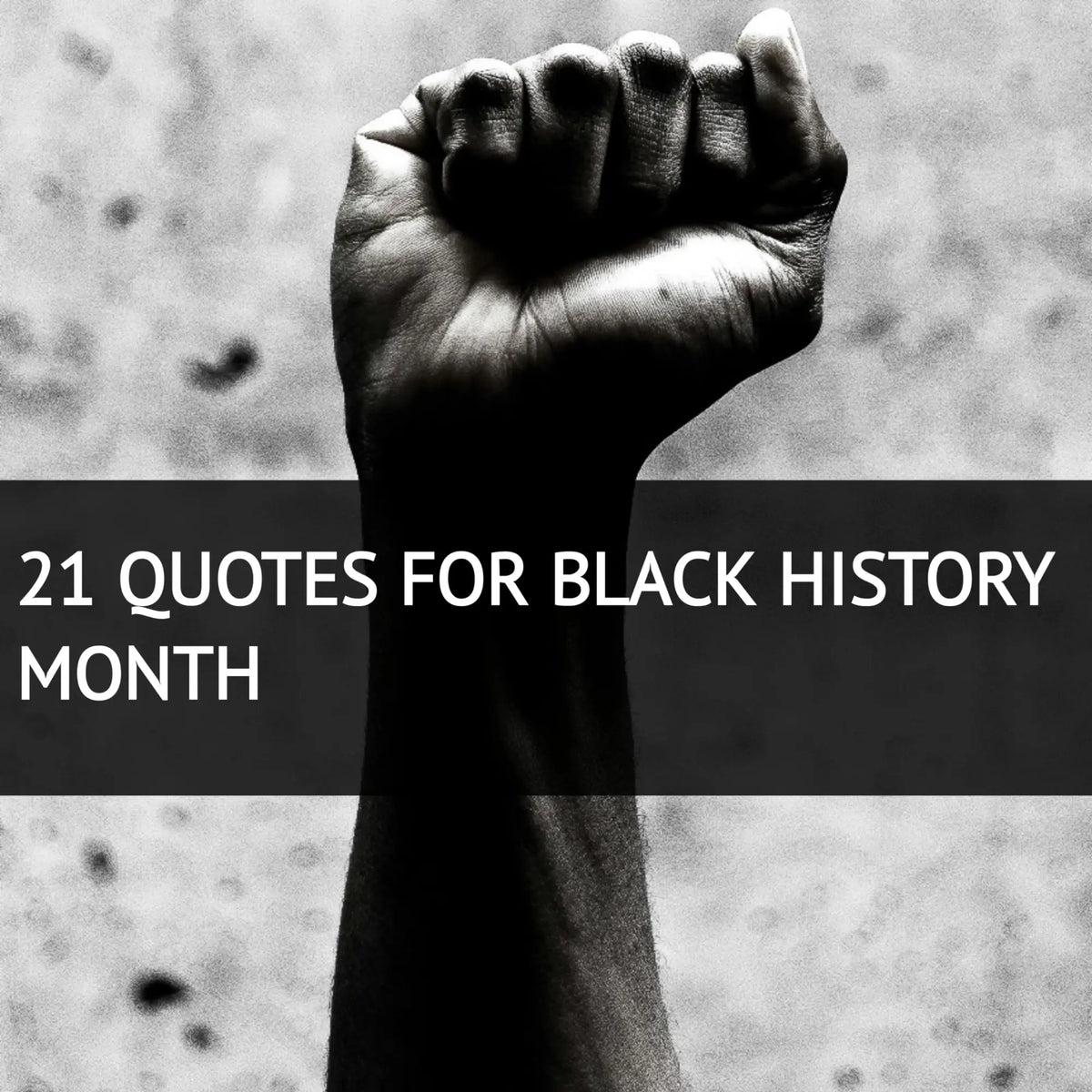21 Quotes for Black History Month | Herbal Goodness