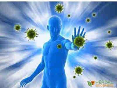 how boost immunity naturally