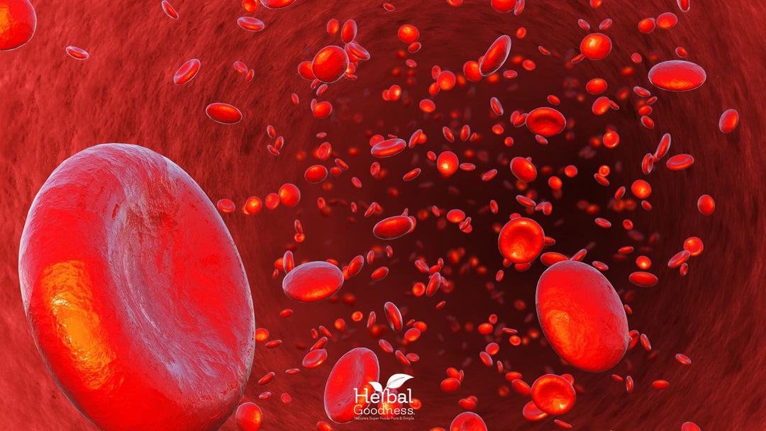 Boost Your Low Blood Platelets Naturally! | Herbal Goodness