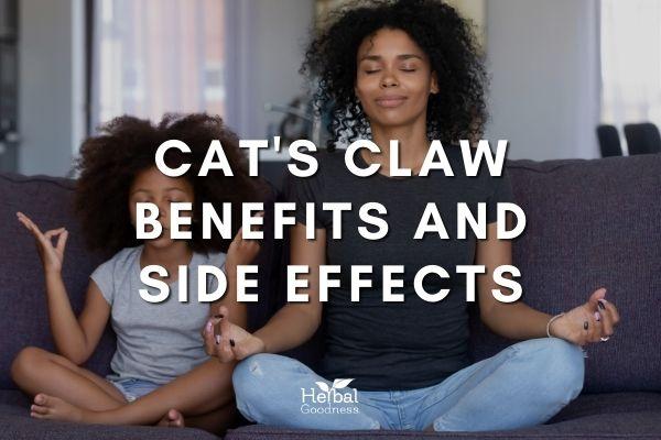 Cat's Claw Benefits and Side Effects | Herbal Goodness