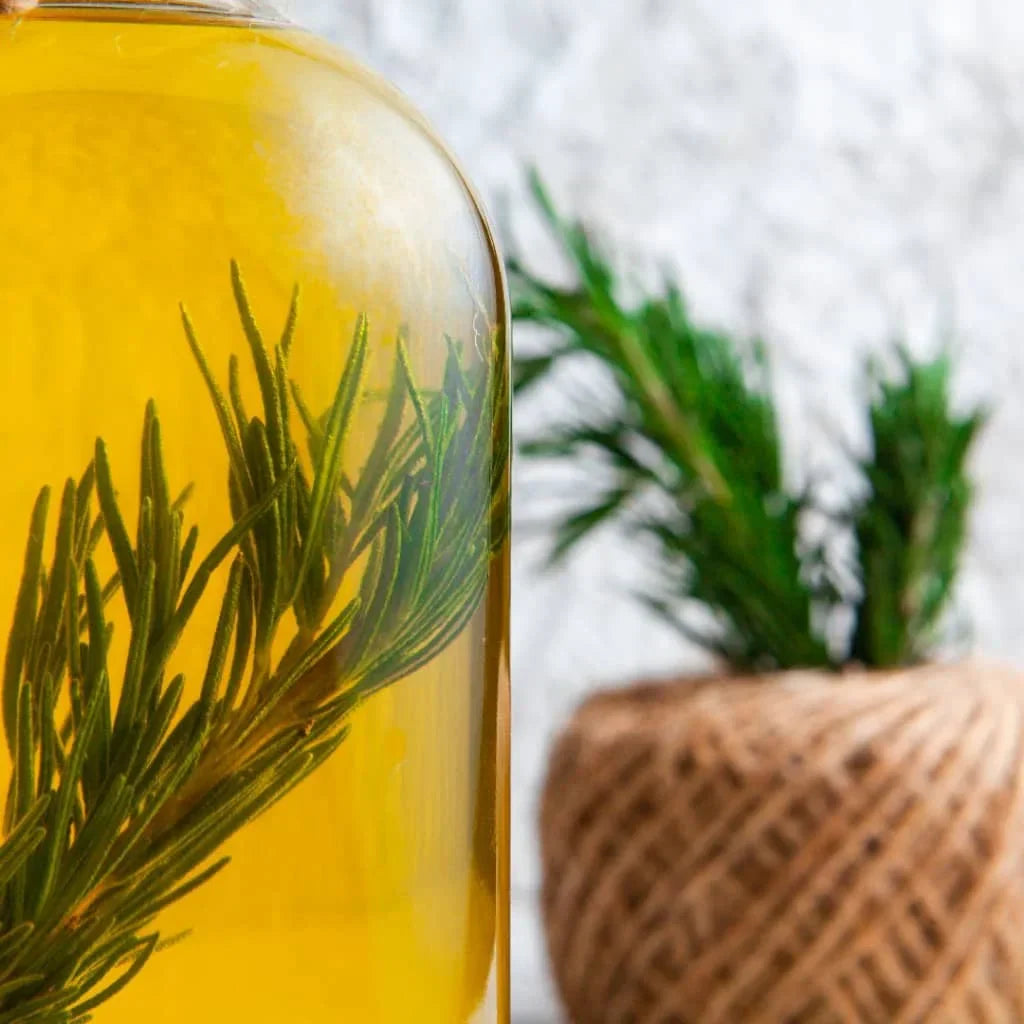 Discover the Powerful Benefits of Oil of Oregano for Your Health
