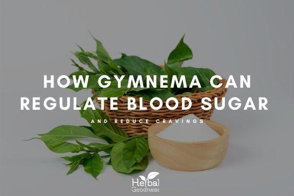 How Gymnema Leaf Can Regulate Blood Sugar and Reduce Cravings | Herbal Goodness
