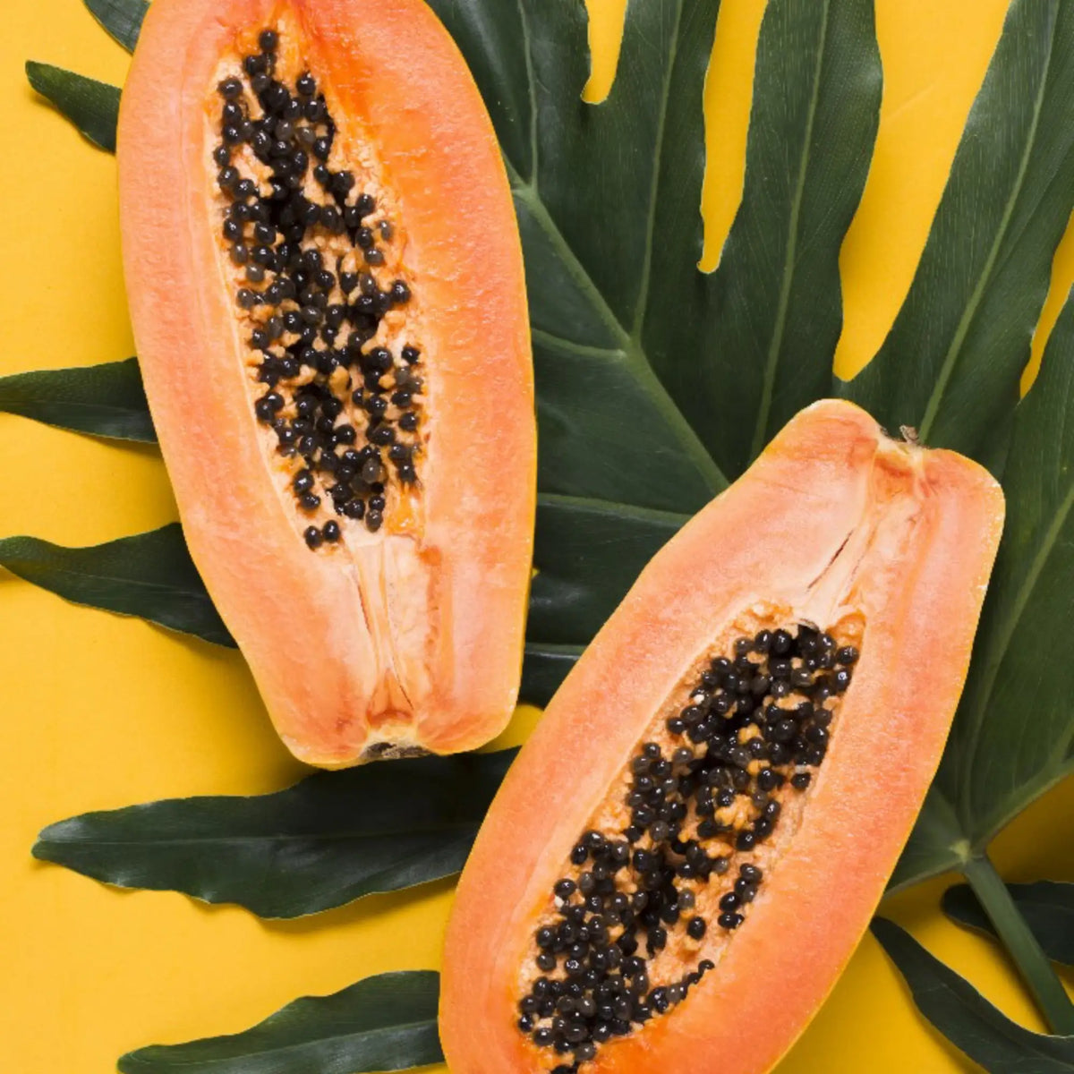 How To Clean Your Blood with Papaya Seed and Leaf | Herbal Goodness (Advertorial)
