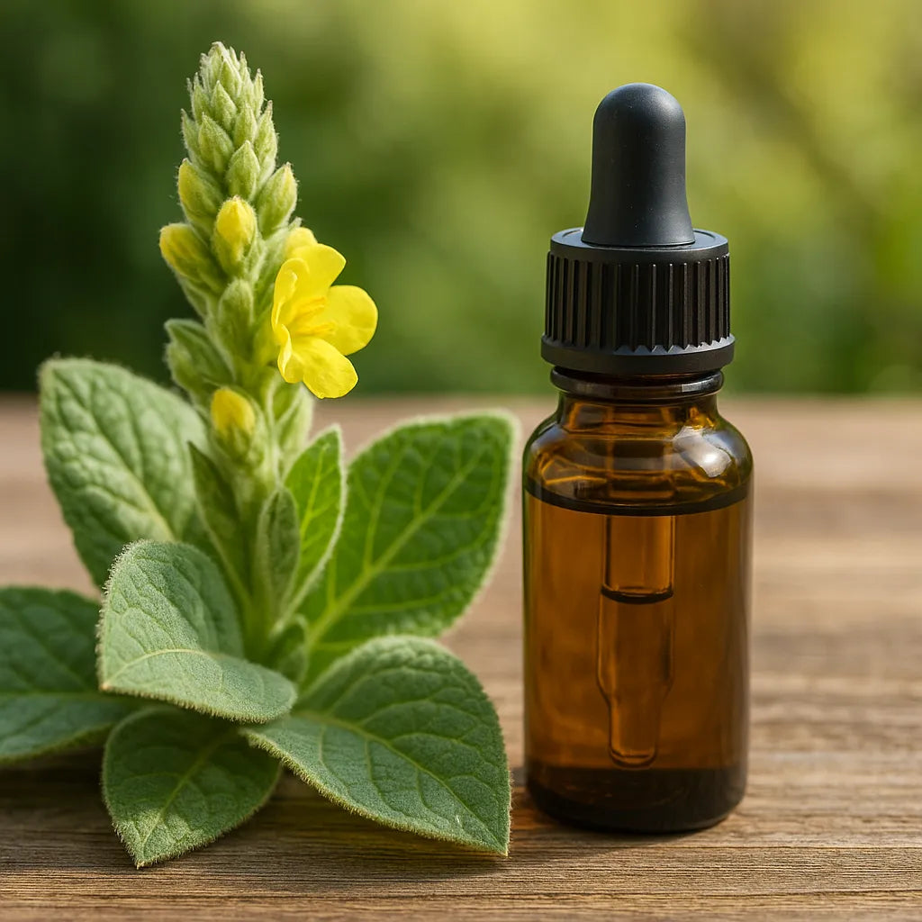 Mullein Leaf Benefits for Lungs: How to Use Extracts & Drops