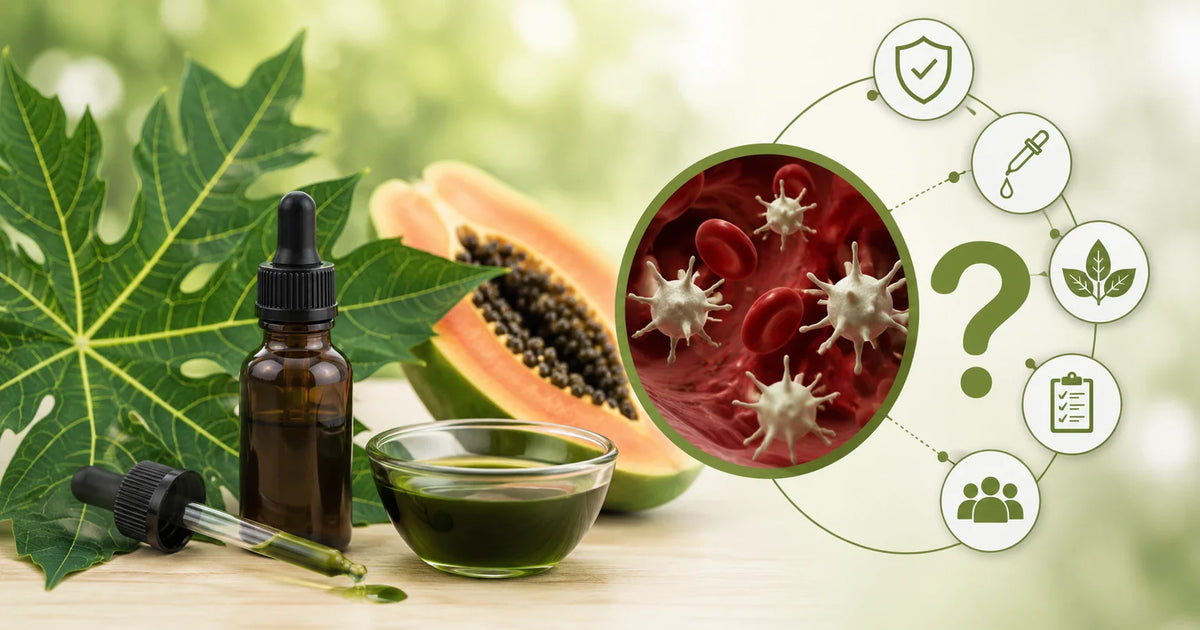 Papaya Leaf Extract for Platelets: What Buyers Ask Before Trying It