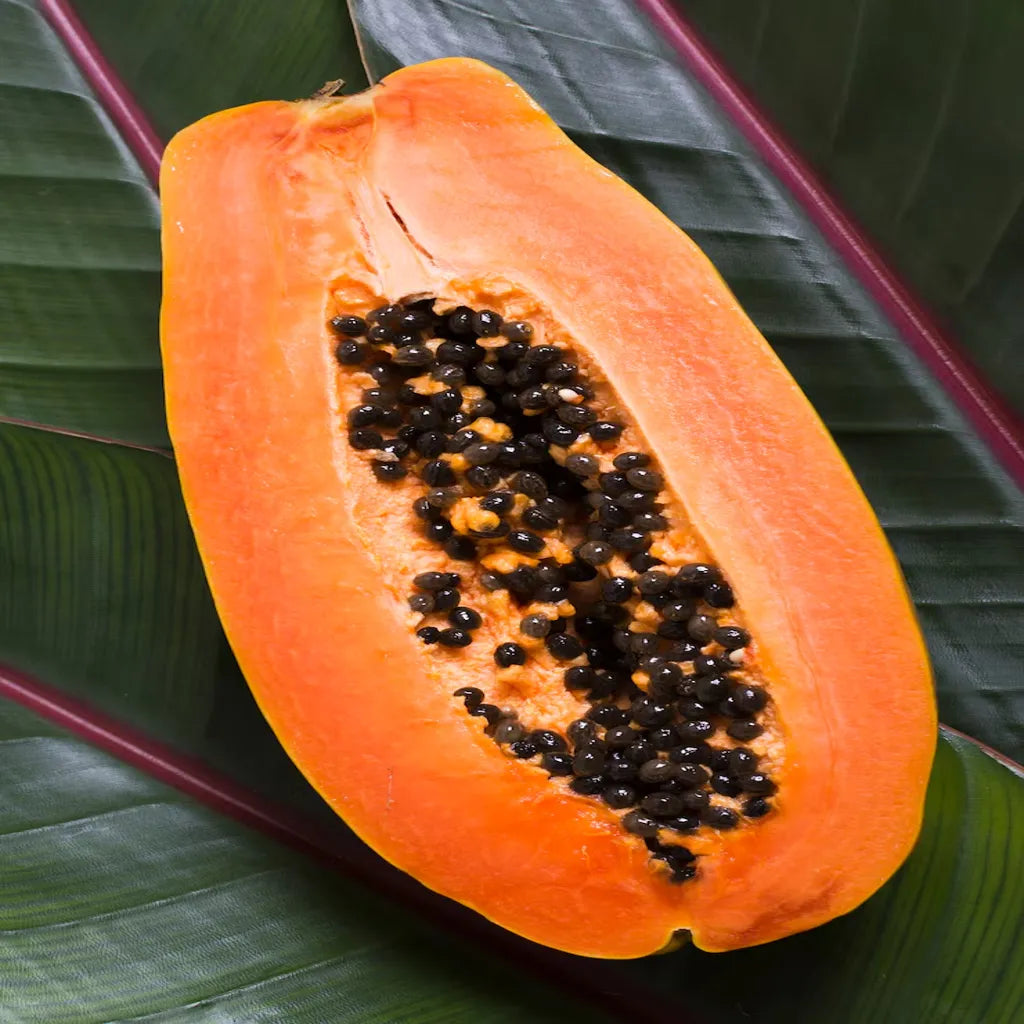 What are the edible parts of the papaya? | Herbal Goodness