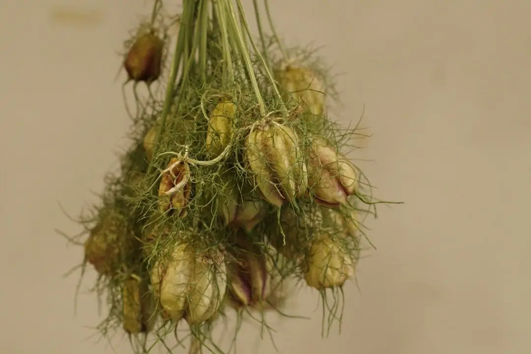 A bunch of flowers hanging from a ceiling