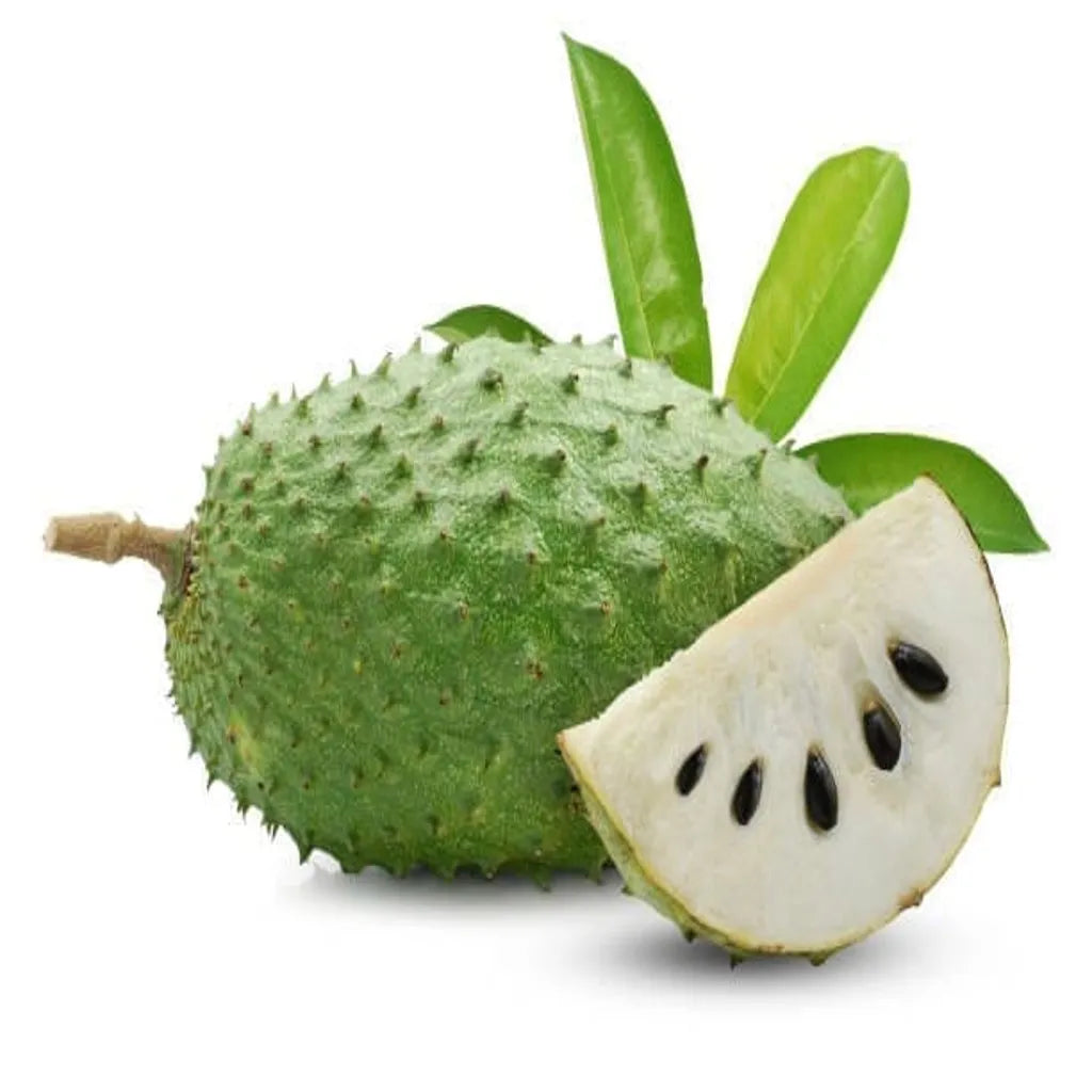 Soursop Tea Benefits and Side Effects | Herbal Goodness