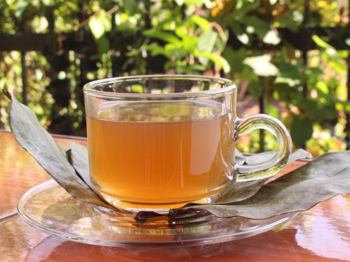 Top Benefits Of Using Soursop Tea | Herbal Goodness
