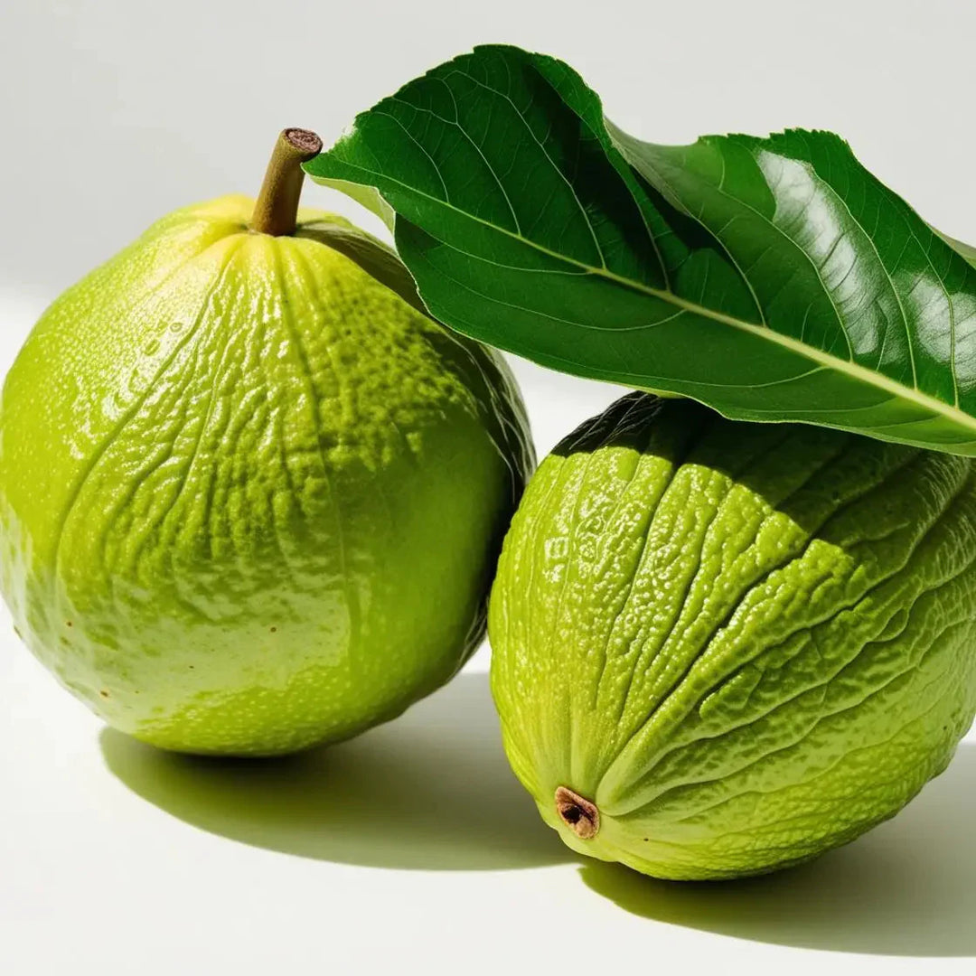 Unveiling the Health Wonders of Guava Leaves: A Natural Path to Calm and Relaxation