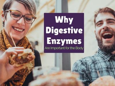 Why Digestive Enzymes are Important for the Body | Herbal Goodness