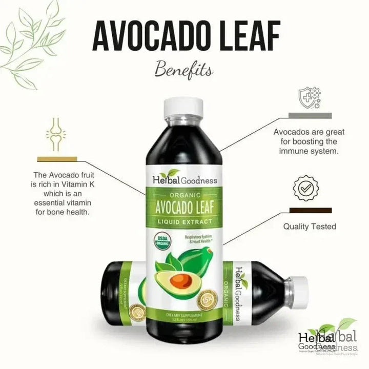 Avocado Leaf Extract - Liquid - Blood Sugar Support - Herbal Goodness Liquid Extract Herbal Goodness 