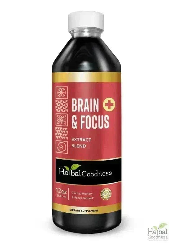 Brain and Focus Liquid Extract - Nootropic Brain Supplement - Herbal Goodness Liquid Extract Herbal Goodness 12 oz 