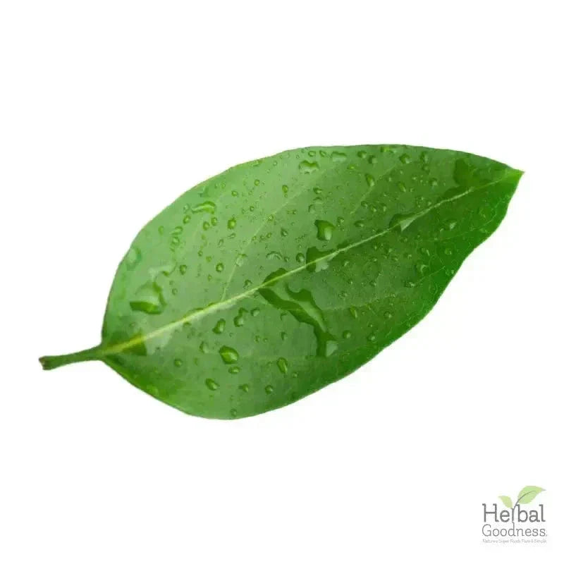 Bulk Herbs & Roots - 4oz Organic bulk teas for digestion, energy, detox Bulk Herb Herbal Goodness Guayusa Leaf 