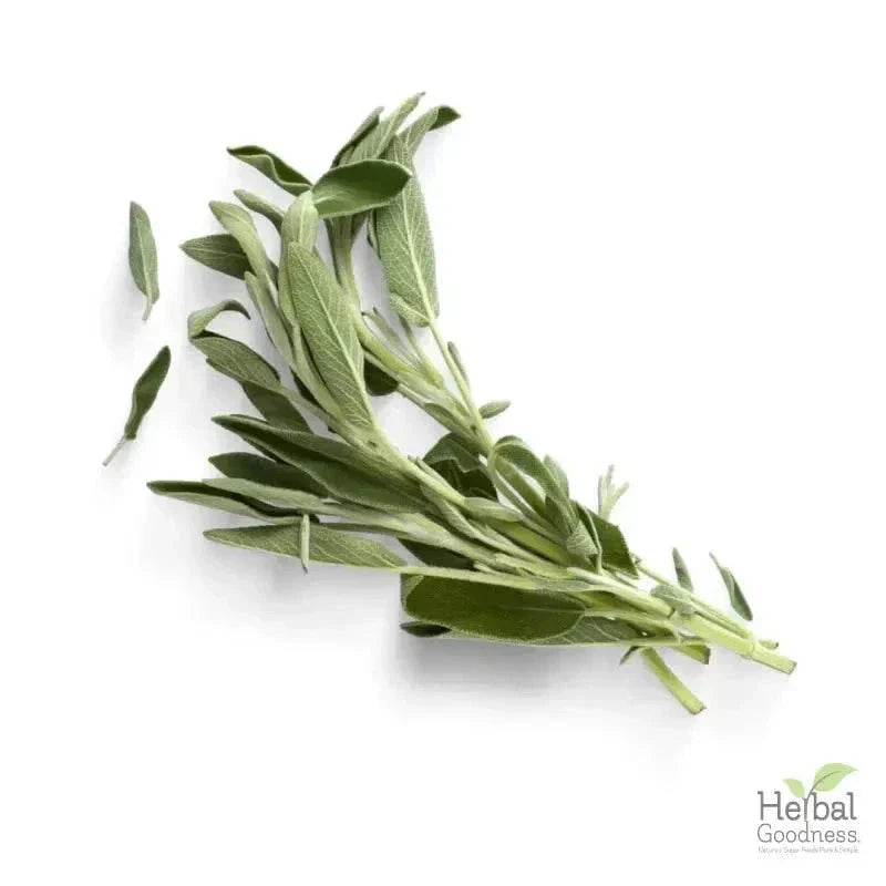 Bulk Herbs & Roots - 4oz Organic bulk teas for digestion, energy, detox Bulk Herb Herbal Goodness 