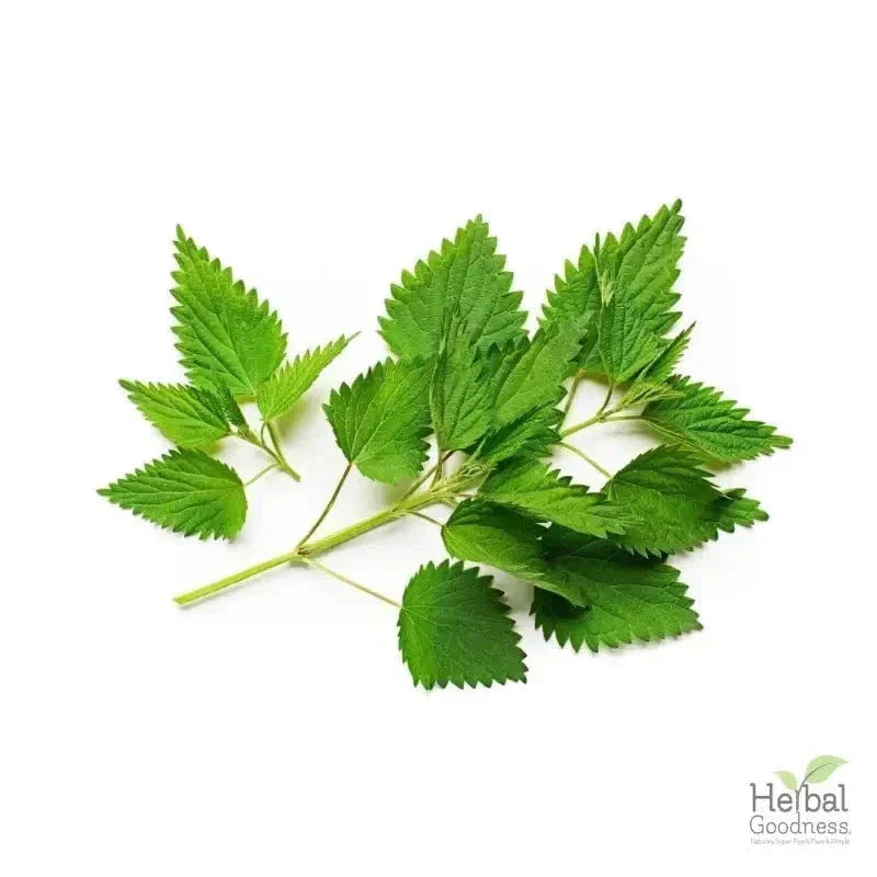 Bulk Herbs & Roots - 4oz Organic bulk teas for digestion, energy, detox Bulk Herb Herbal Goodness Nettle Leaf 