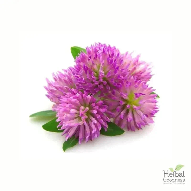 Bulk Herbs & Roots - 4oz Organic bulk teas for digestion, energy, detox Bulk Herb Herbal Goodness Red Clover 