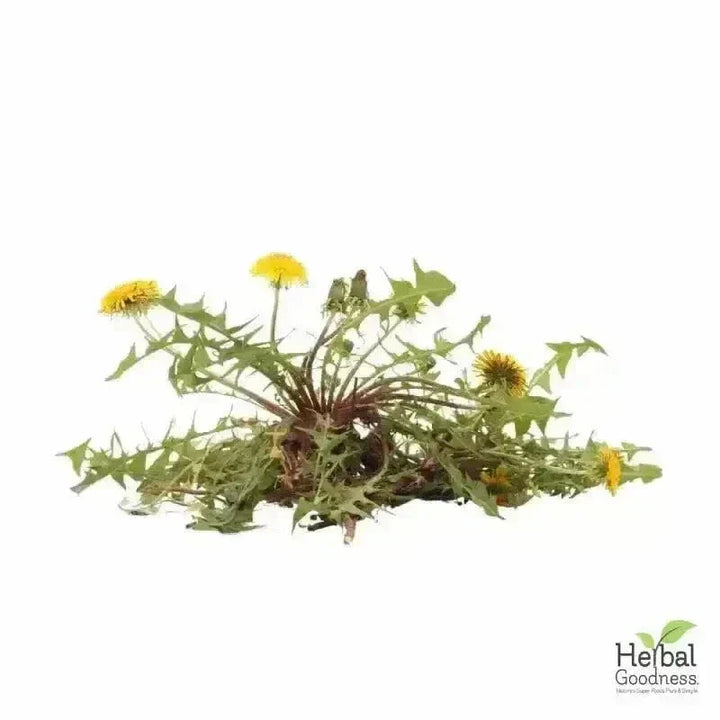 Bulk Herbs & Roots Online for Tea, Tinctures & DIY Wellness - Organic 4oz Bags Bulk Herb Herbal Goodness 