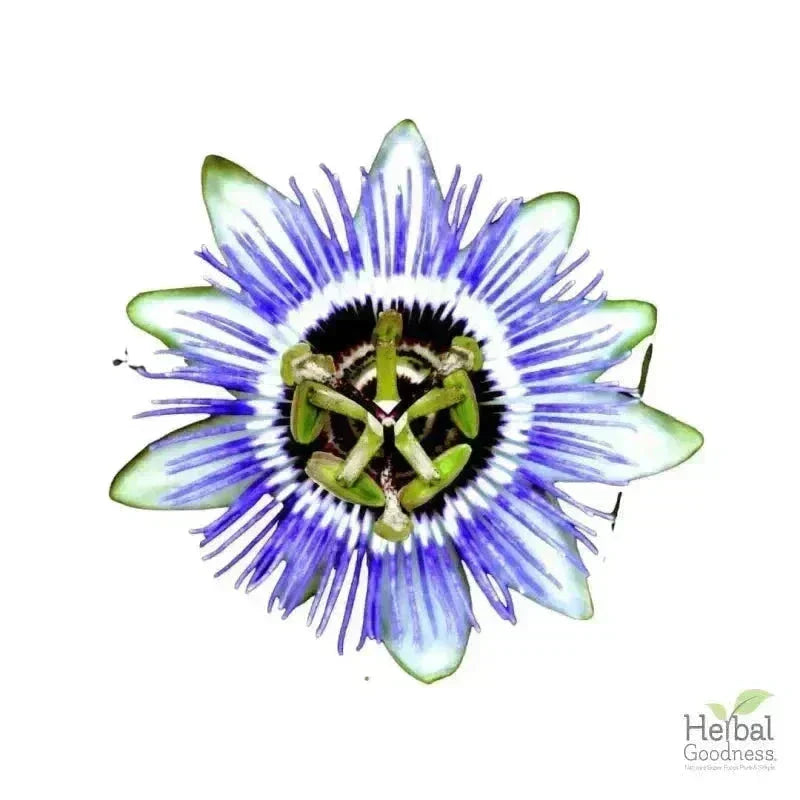 Bulk Herbs & Roots - Organic 4oz Bags - Herbal Tea Bulk Herb Herbal Goodness Passion Flower 