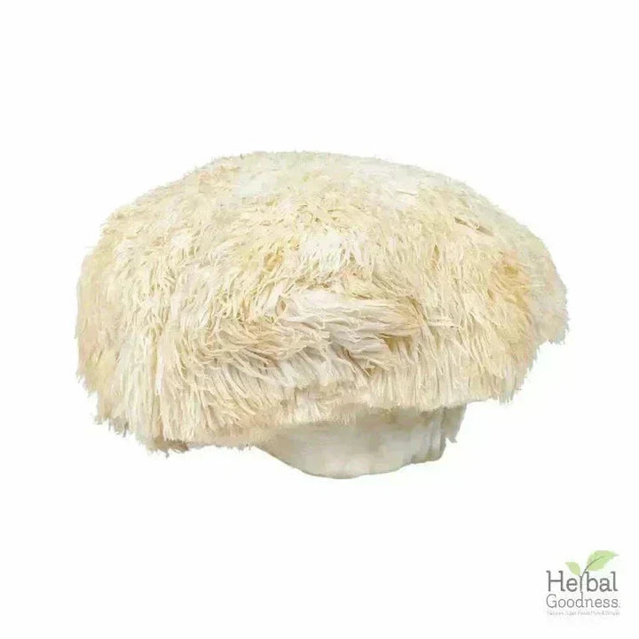 Bulk Herbs & Roots - Organic 4oz Bags - Herbal Tea Bulk Herb Herbal Goodness 