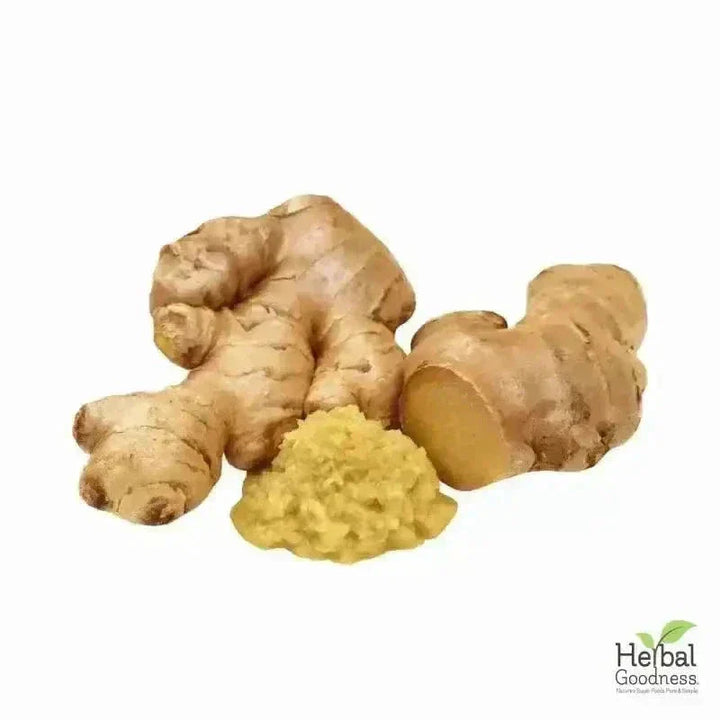 Bulk Herbs & Roots Online for Tea, Tinctures & DIY Wellness - Organic 4oz Bags Bulk Herb Herbal Goodness 