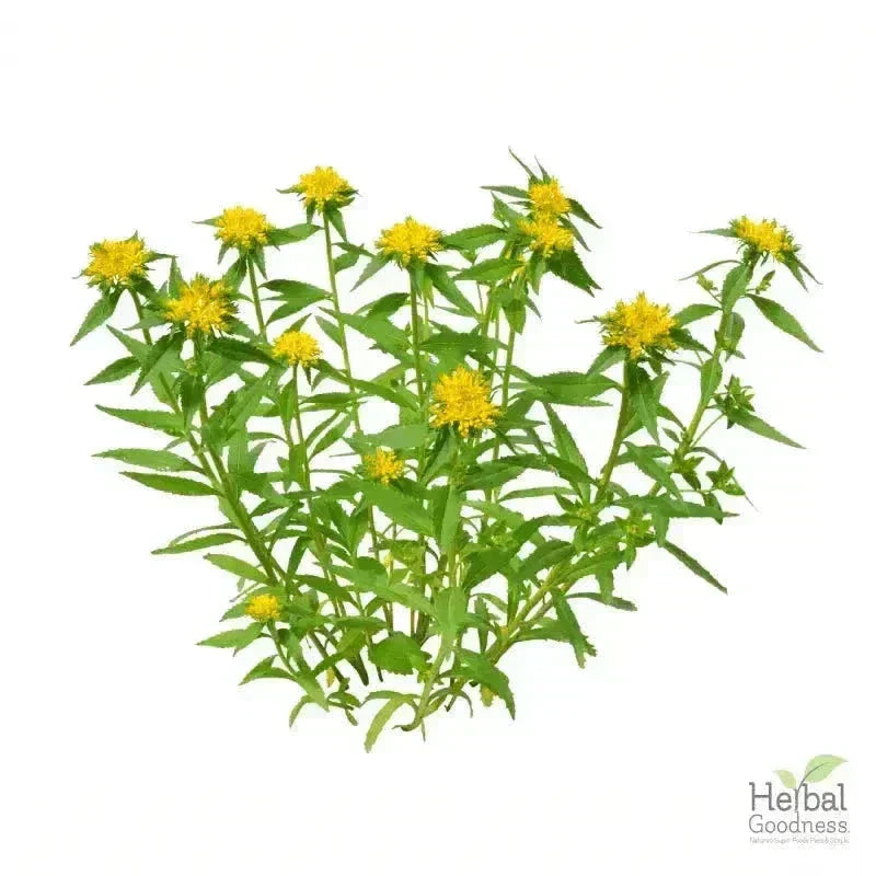 Bulk Herbs & Roots - Organic 4oz Bags - Herbal Tea Bulk Herb Herbal Goodness 