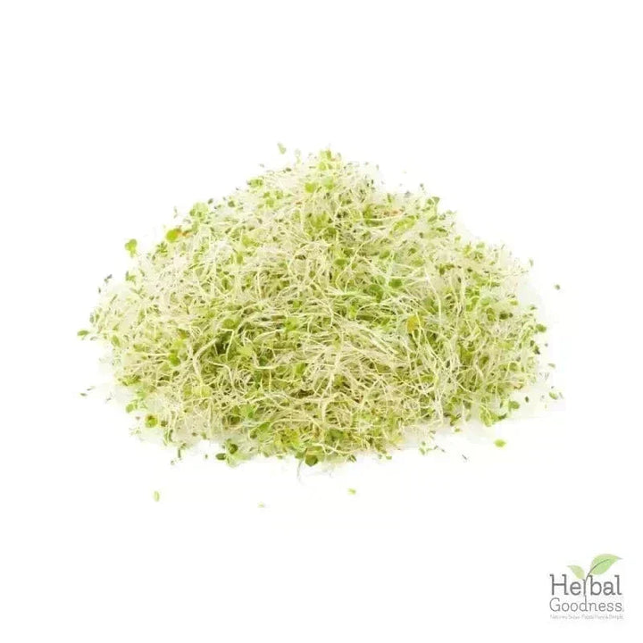 Bulk Herbs & Roots - Organic 4oz Bags - Herbal Tea Bulk Herb Herbal Goodness Alfalfa Leaf 