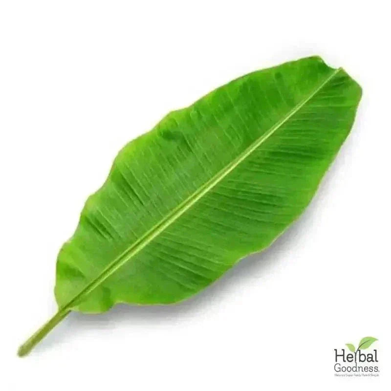 Bulk Herbs & Roots Online for Tea, Tinctures & DIY Wellness - Organic 4oz Bags Bulk Herb Herbal Goodness Plantain Leaf 