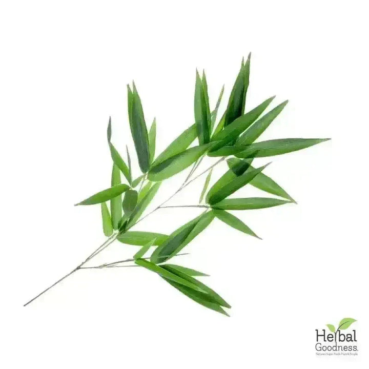 Bulk Herbs & Roots Online for Tea, Tinctures & DIY Wellness - Organic 4oz Bags Bulk Herb Herbal Goodness 