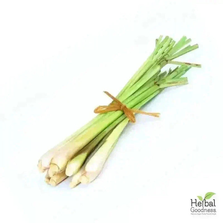 Bulk Herbs & Roots Online for Tea, Tinctures & DIY Wellness - Organic 4oz Bags Bulk Herb Herbal Goodness Lemongrass 