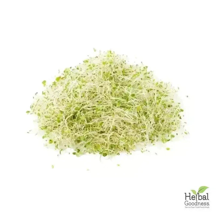 Bulk Herbs & Roots Online for Tea, Tinctures & DIY Wellness - Organic 4oz Bags Bulk Herb Herbal Goodness 