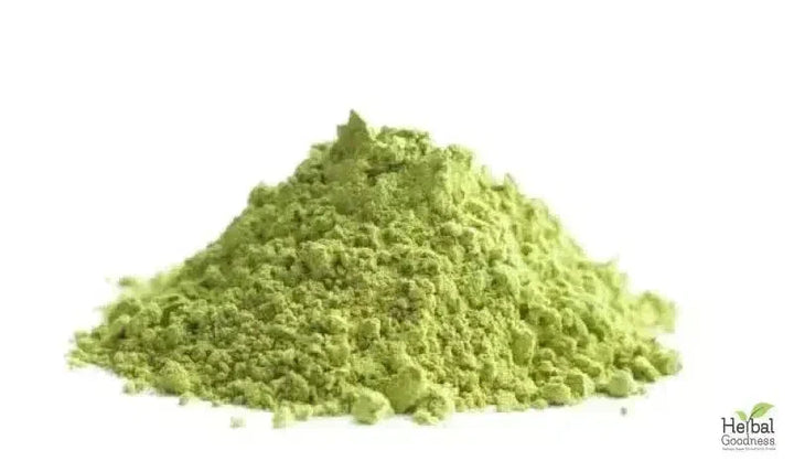 Bulk Herbs & Roots Online for Tea, Tinctures & DIY Wellness - Organic 4oz Bags Bulk Herb Herbal Goodness Avocado Leaf 