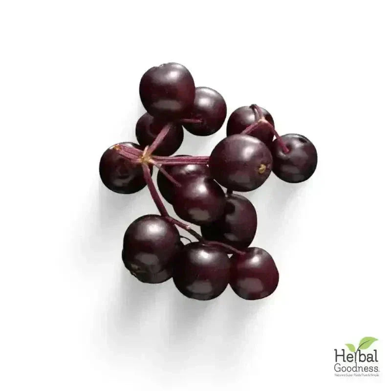 Bulk Herbs & Roots Online for Tea, Tinctures & DIY Wellness - Organic 4oz Bags Bulk Herb Herbal Goodness Elderberry 