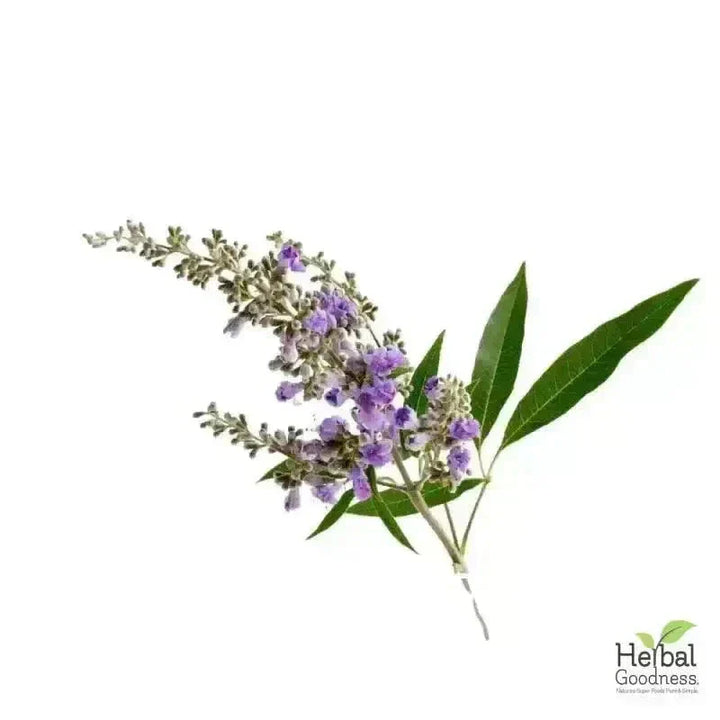Bulk Herbs & Roots Online for Tea, Tinctures & DIY Wellness - Organic 4oz Bags Bulk Herb Herbal Goodness 