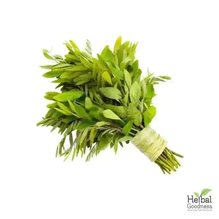 Bulk Herbs & Roots Online for Tea, Tinctures & DIY Wellness - Organic 4oz Bags Bulk Herb Herbal Goodness 