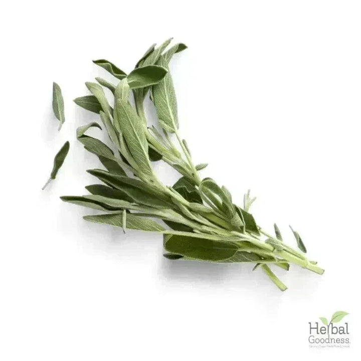 Bulk Herbs & Roots - Organic 4oz Bags - Herbal Tea Bulk Herb Herbal Goodness 