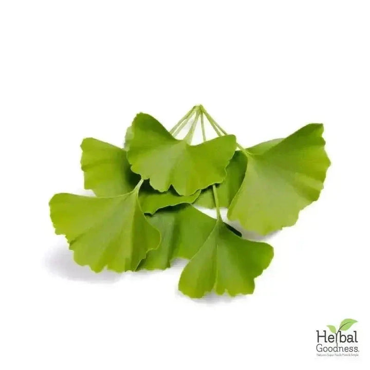 Bulk Herbs & Roots Online for Tea, Tinctures & DIY Wellness - Organic 4oz Bags Bulk Herb Herbal Goodness Ginkgo Biloba 