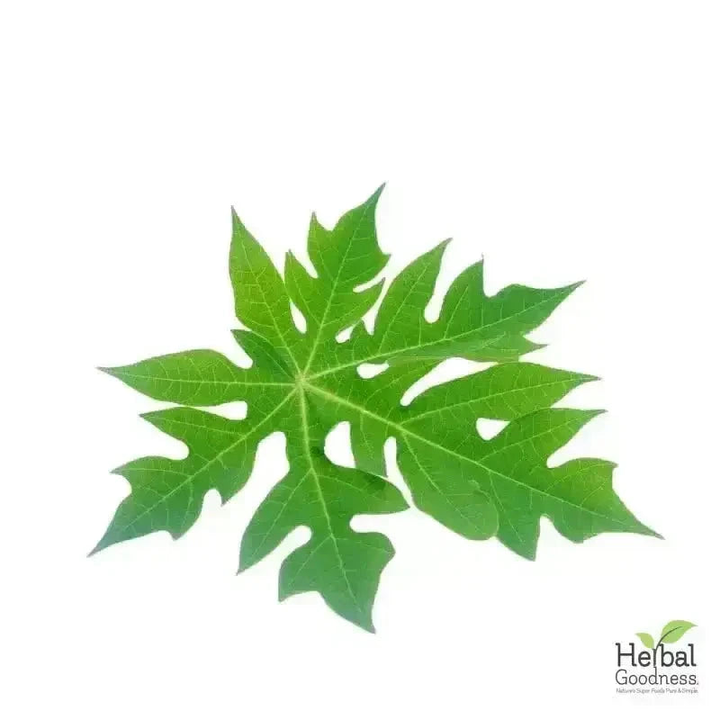 Bulk Herbs & Roots Online for Tea, Tinctures & DIY Wellness - Organic 4oz Bags Bulk Herb Herbal Goodness Papaya Leaf 