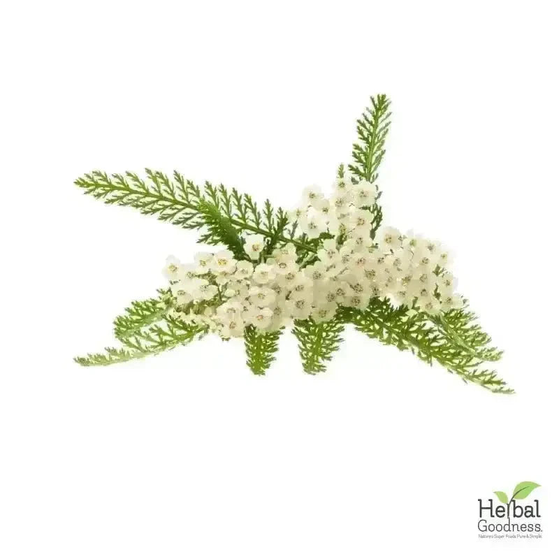 Bulk Herbs & Roots Online for Tea, Tinctures & DIY Wellness - Organic 4oz Bags Bulk Herb Herbal Goodness Yarrow Root 