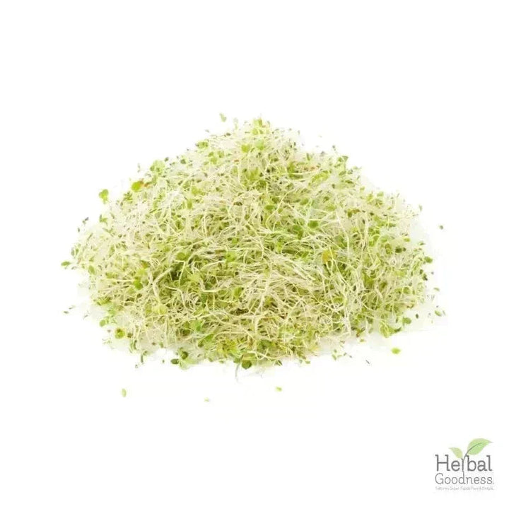 Bulk Herbs & Roots - Organic 4oz Bags - Herbal Tea Bulk Herb Herbal Goodness Alfalfa Leaf 