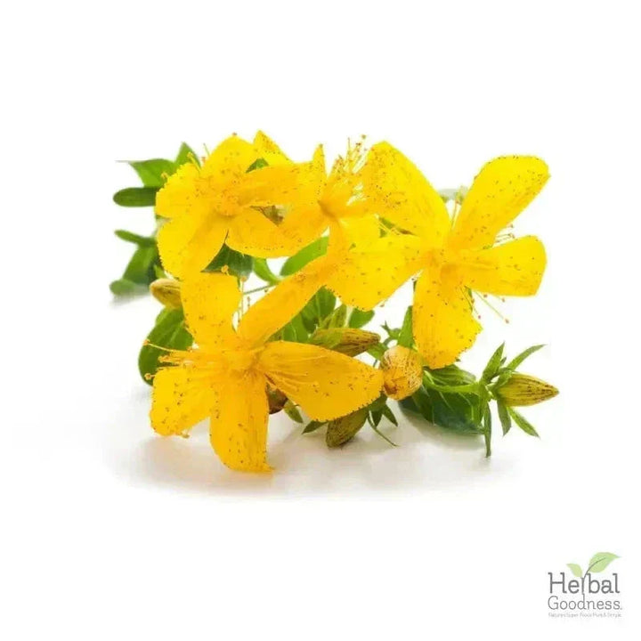 Bulk Herbs & Roots - 4oz Organic bulk teas for digestion, energy, detox Bulk Herb Herbal Goodness Chamomile Flower 