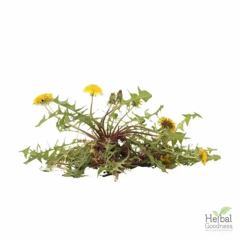 Bulk Herbs & Roots - Organic 4oz Bags - Herbal Tea Bulk Herb Herbal Goodness Dandelion Root 