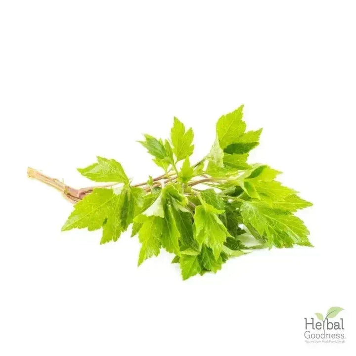 Bulk Herbs & Roots - 4oz Organic bulk teas for digestion, energy, detox Bulk Herb Herbal Goodness Mugwort Leaf 