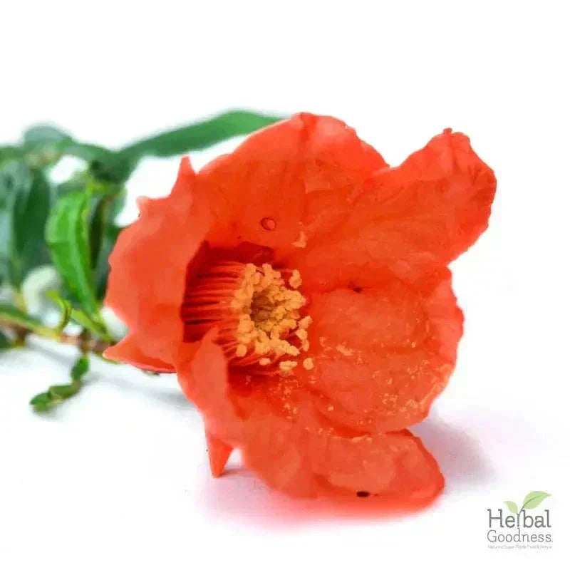 Bulk Herbs & Roots - Organic 4oz Bags - Herbal Tea Bulk Herb Herbal Goodness Pomegranate Flower 