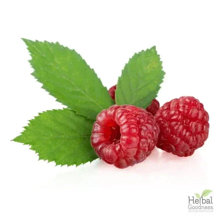 Bulk Herbs & Roots - Organic 4oz Bags - Herbal Tea Bulk Herb Herbal Goodness Red Raspberry Leaf 
